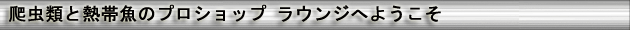X^CbVI[g̃z[y[Wɂ悤